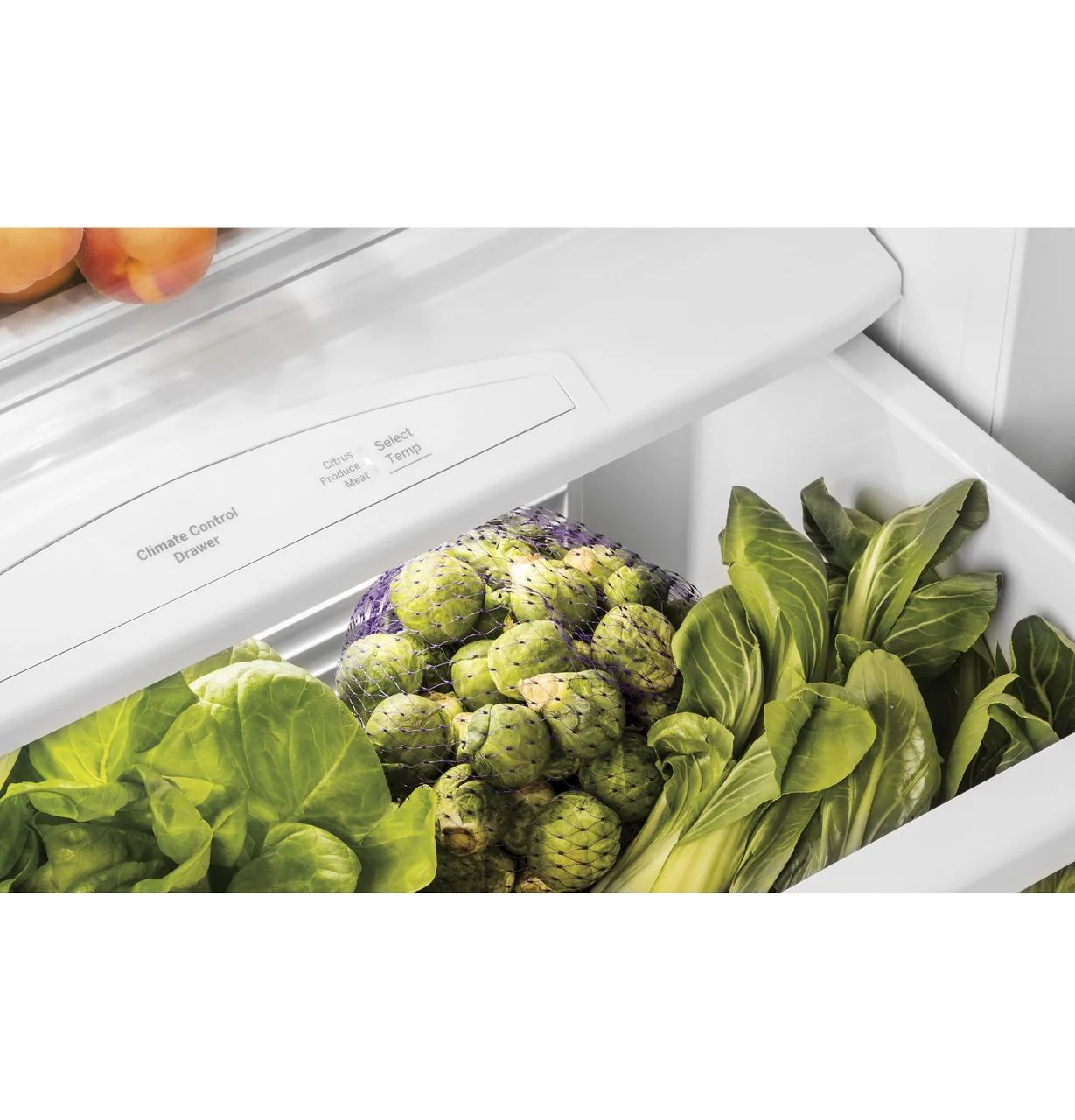 Cafe CSB48YP2NS1 CAF(EBACK)™ 48" Smart Built-In Side-by-Side Refrigerator with Dispenser - Image 8