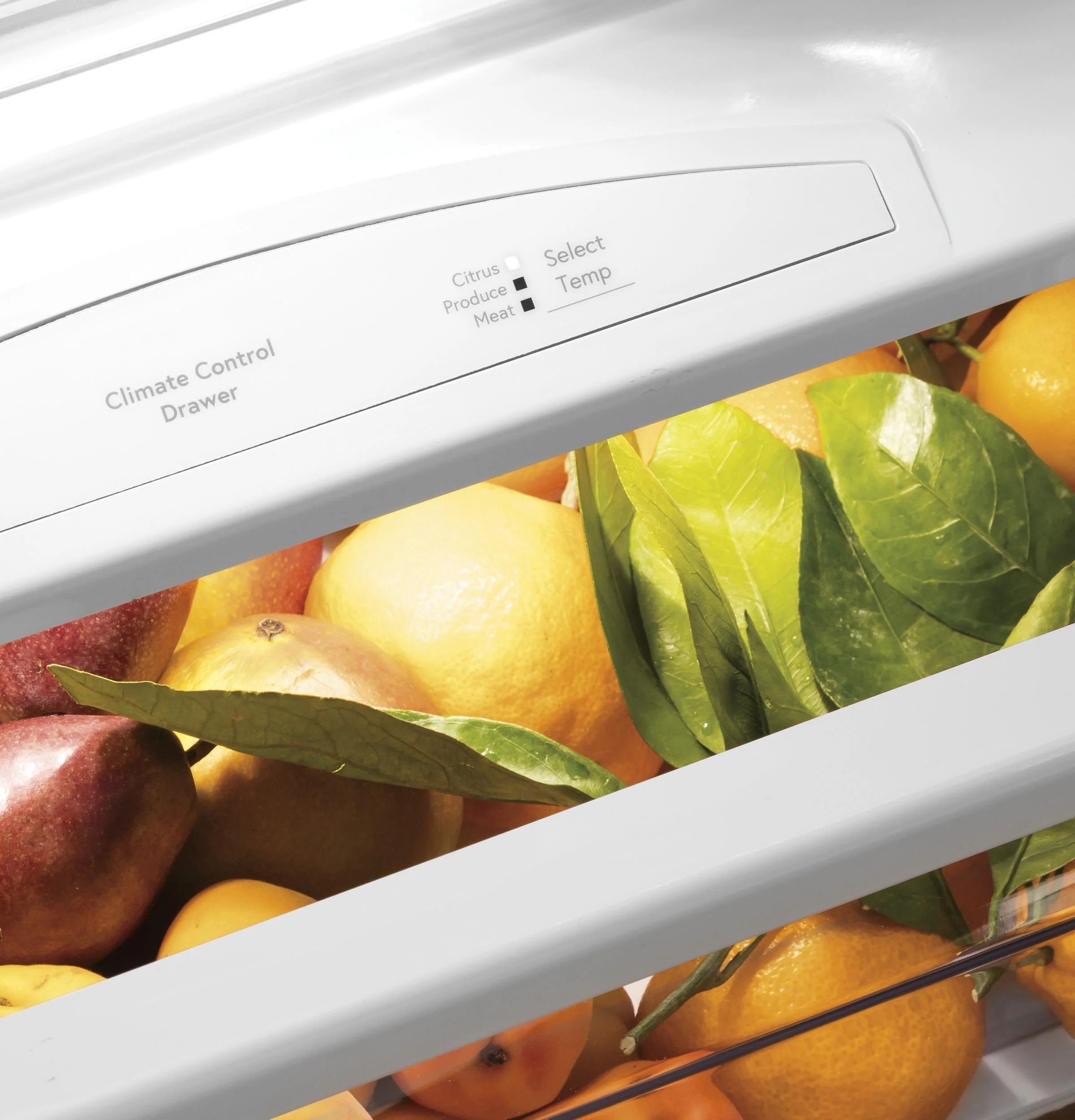 PSB42YSRSS GE Profile™ Series 42" Smart Built-In Side-by-Side Refrigerator with Dispenser - Image 12