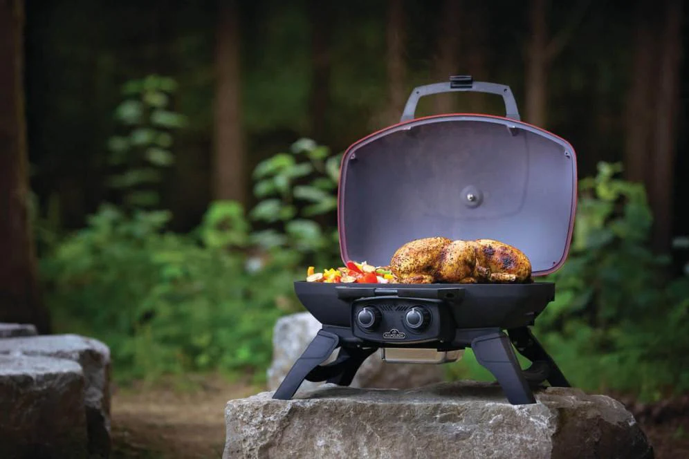 Napoleon Bbq TQ285RD1A TravelQ 285 with Griddle , Propane, Red - Image 8